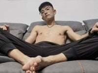 micai_fengbei avatar