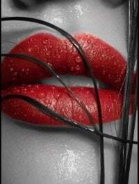 midnight_prisha avatar