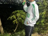 mr_nicovp avatar
