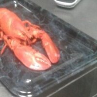 mrbigballs avatar