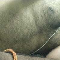 mysoremutt37 avatar