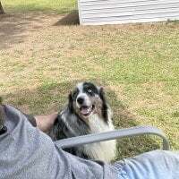 mysterious_cowboy avatar