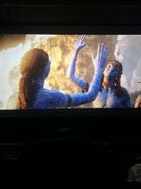 negodoce777k25 avatar