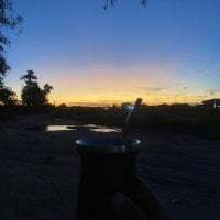 negritovergudo05 avatar