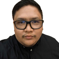 newbabeladyboy avatar