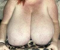 niknak_bbw@xh avatar