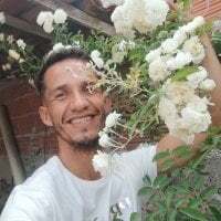 ninfourso avatar