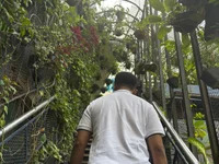omeega_ avatar