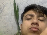 parolo22 avatar