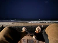 patna_lover avatar