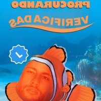pauzudaodasul avatar