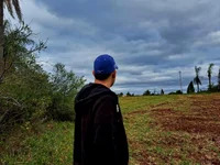 perrielhormito avatar