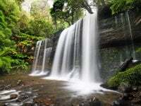 peterwaterfall avatar