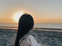 phuonglanlan avatar