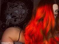 poisondevotion avatar