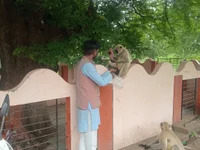 priya_15 avatar
