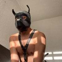 puppbruno avatar