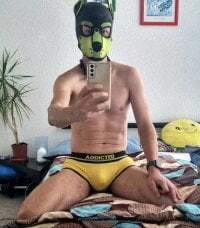 puppy_tomik avatar
