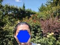 qpqp-777 avatar