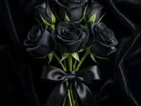 queenmila avatar