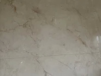 radhikax1 avatar