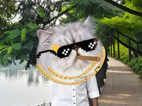 rajaaaaa11 avatar