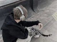 ren4241 avatar