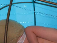 rinamandarina avatar