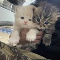 ryokunkun0519 avatar