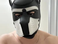 ryunosukedayo avatar