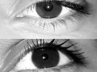 saratrr avatar