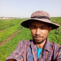 sawang253309 avatar