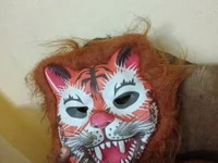 shinecore avatar
