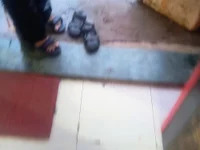 showcumme avatar