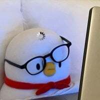 shudjk avatar