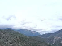 smallcockgrower avatar