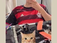 sollzaa avatar