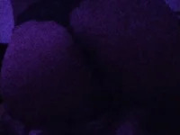 soloviva69 avatar