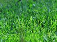 sonnytheeunicorn avatar