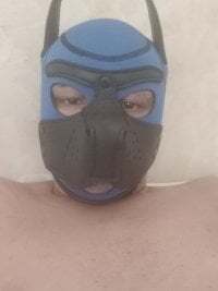 soumicuckold1 avatar