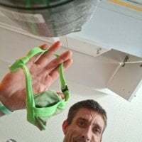 studmuffin100 avatar