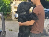 sumision_activa avatar