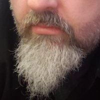 the-kinky-wookiee avatar