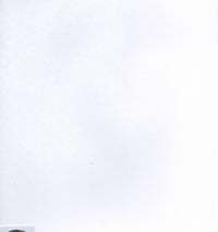 thekinkyscenerybott avatar