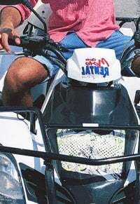 theyoungdickk avatar