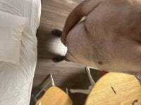 toutesnusoumis avatar