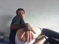 tryxfemboy avatar