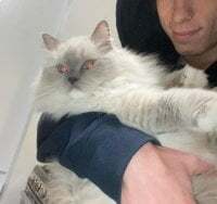 twentyistwenty avatar