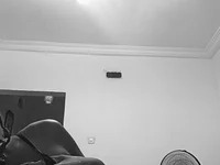 two_cam_latin avatar