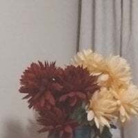 urgentlyfixer avatar